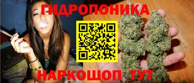 кокс Баксан