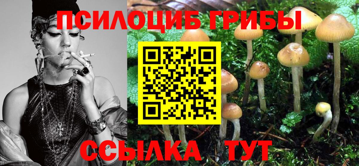 Галлюциногенные грибы MAGIC MUSHROOMS Ачхой-Мартан